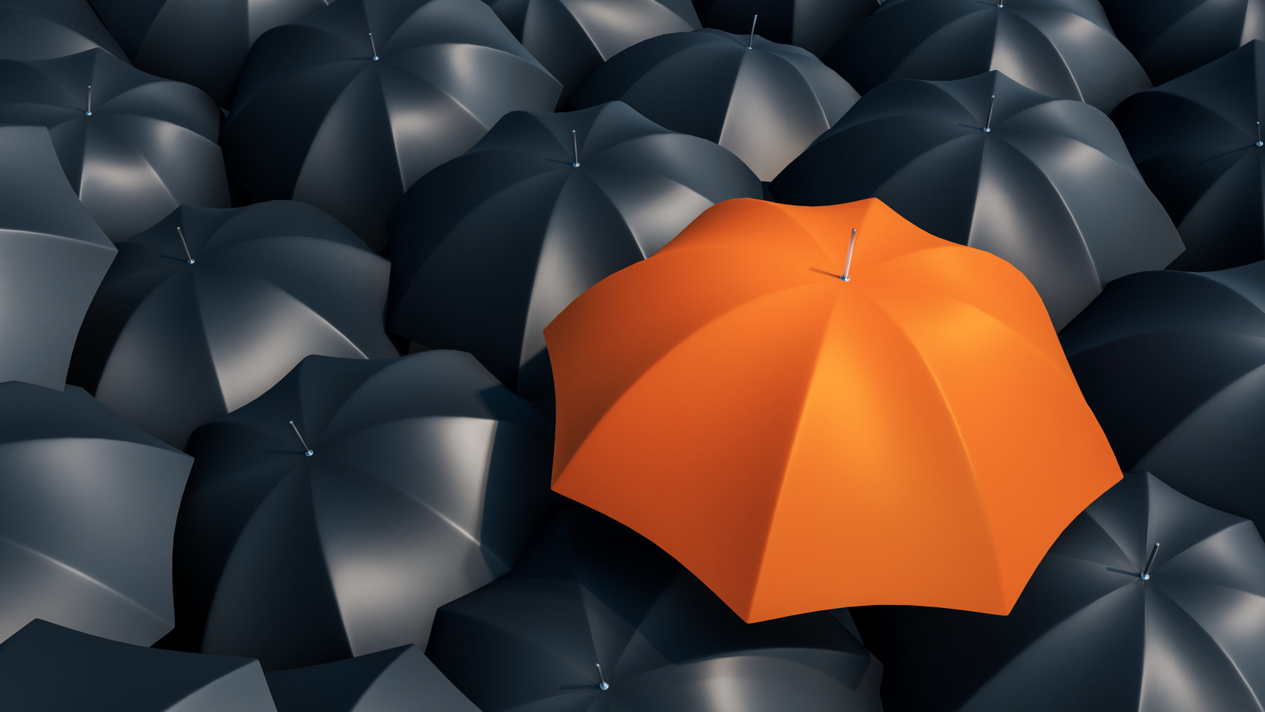 orange unbrella with black umbrellas